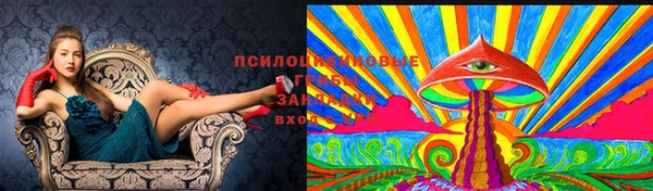 кокаин Арсеньев