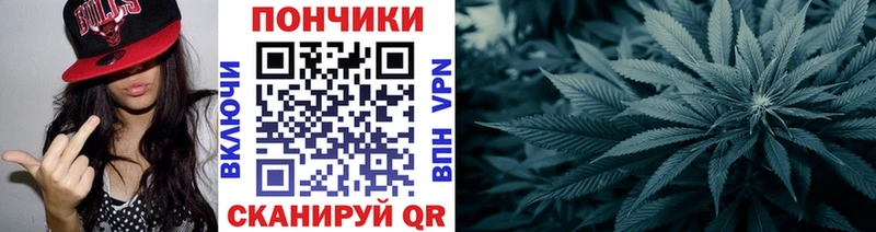 Каннабис сатива  Туринск 